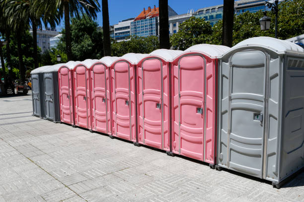 Best Portable Toilets with Baby Changing Stations  in Shenandoah, PA